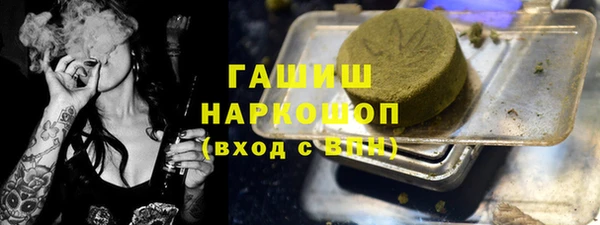ешки Алексин