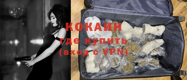 ешки Алексин
