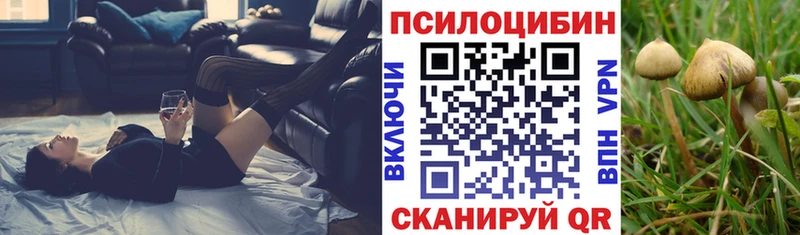 Псилоцибиновые грибы Psilocybe  как найти наркотики  Миасс 